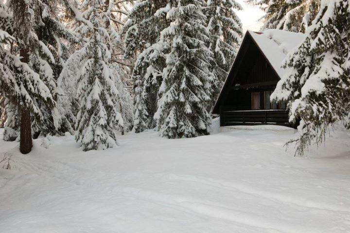 Bungalovy Pri Hoteli Spojar Жьяр Экстерьер фото